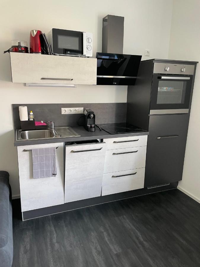 Apartments Saaldorf-Ferienhaus Mit 6 Apartments 45Qm-120Qm Direkt Am Thueringer Meer-Bleilochtalsperre Bad Lobenstein Bagian luar foto