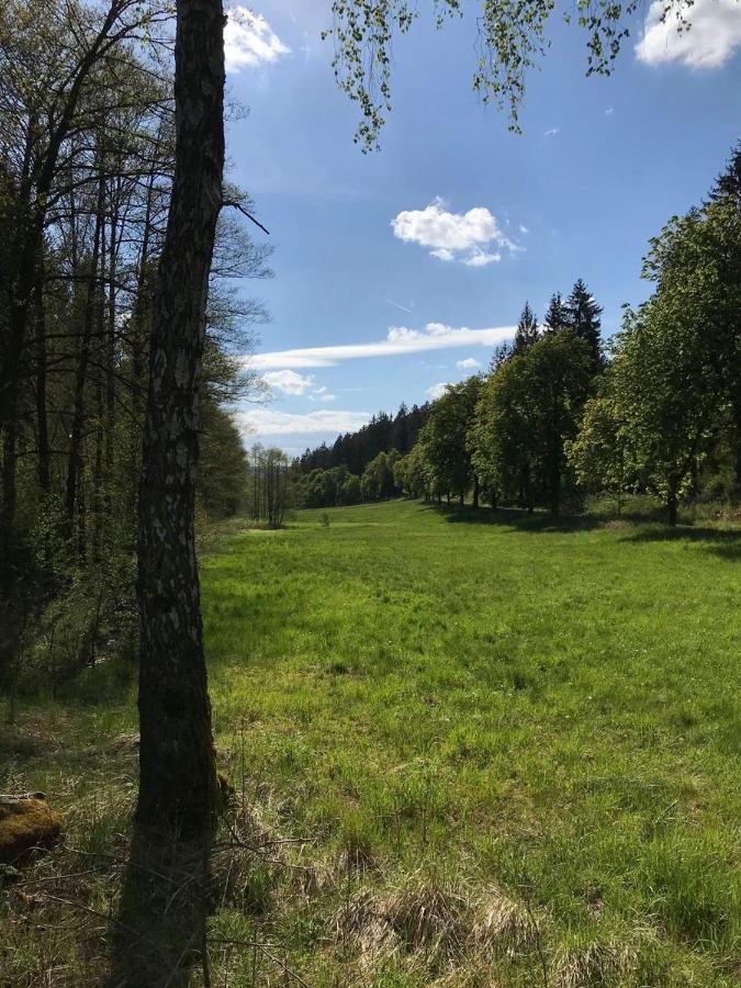 Apartments Saaldorf-Ferienhaus Mit 6 Apartments 45Qm-120Qm Direkt Am Thueringer Meer-Bleilochtalsperre Bad Lobenstein Bagian luar foto